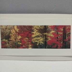 George Burr Autumn Trees Print 12x6 Panoramic Fall Landscape Matted